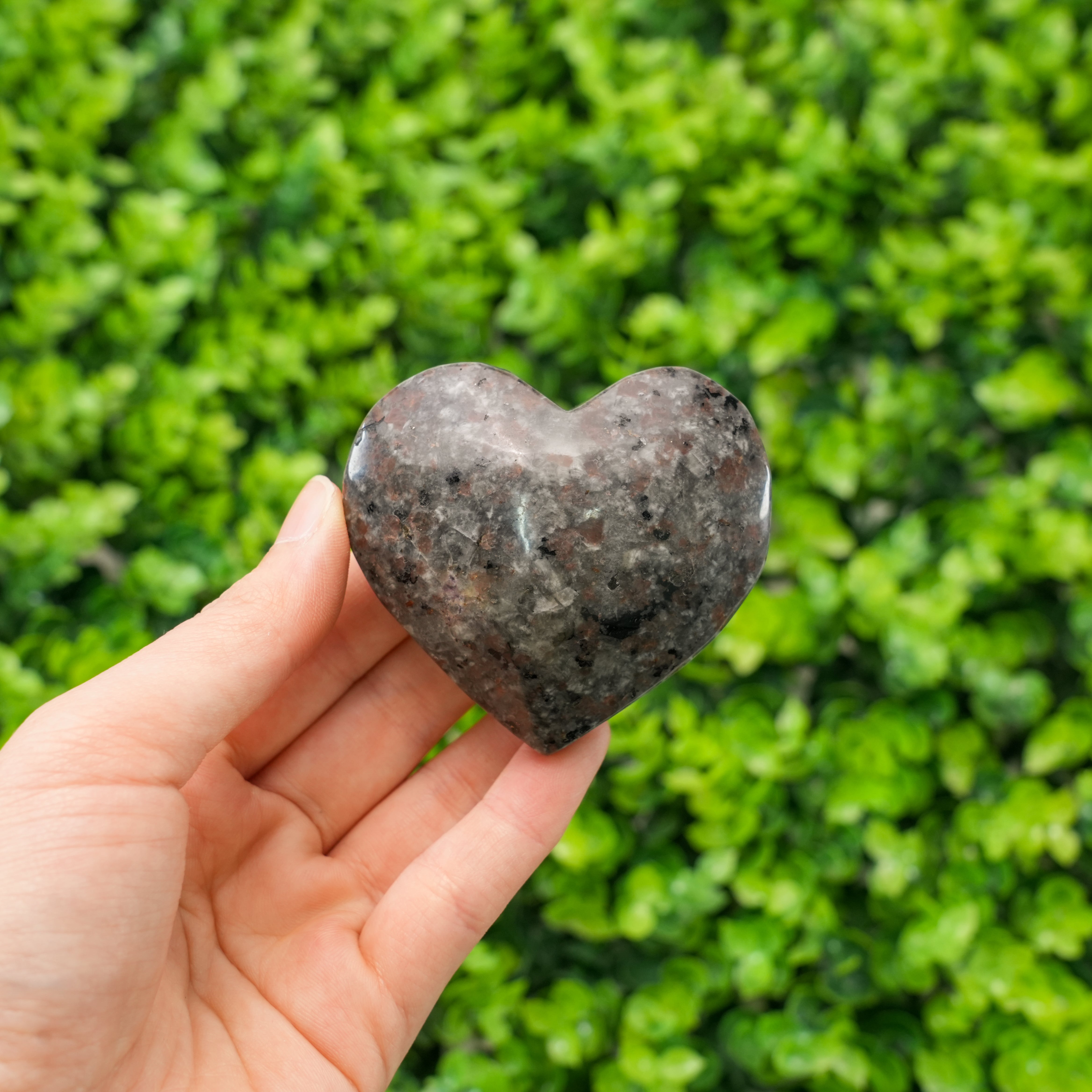 Yooperlite Heart Stone Natural Fluorescent Sodalite Crystal Heart, Polished Stone that Glows Under UV Light, Unique Collectible Gift