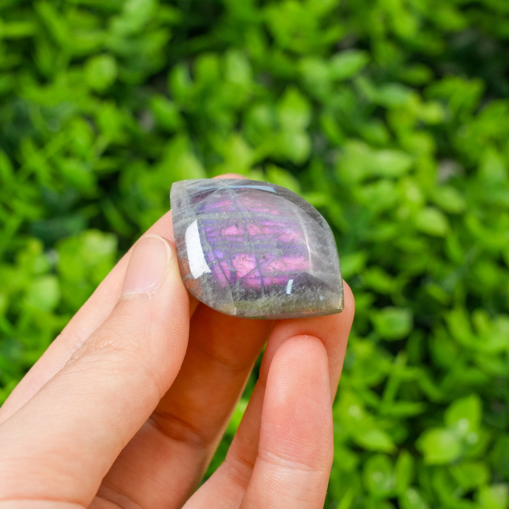 Natural Labradorite Crystal Leaf Carving - Hand-Carved Gemstone Foliage with Blue & Purple Unique Spiritual Gift for Crystal Collectors Flash