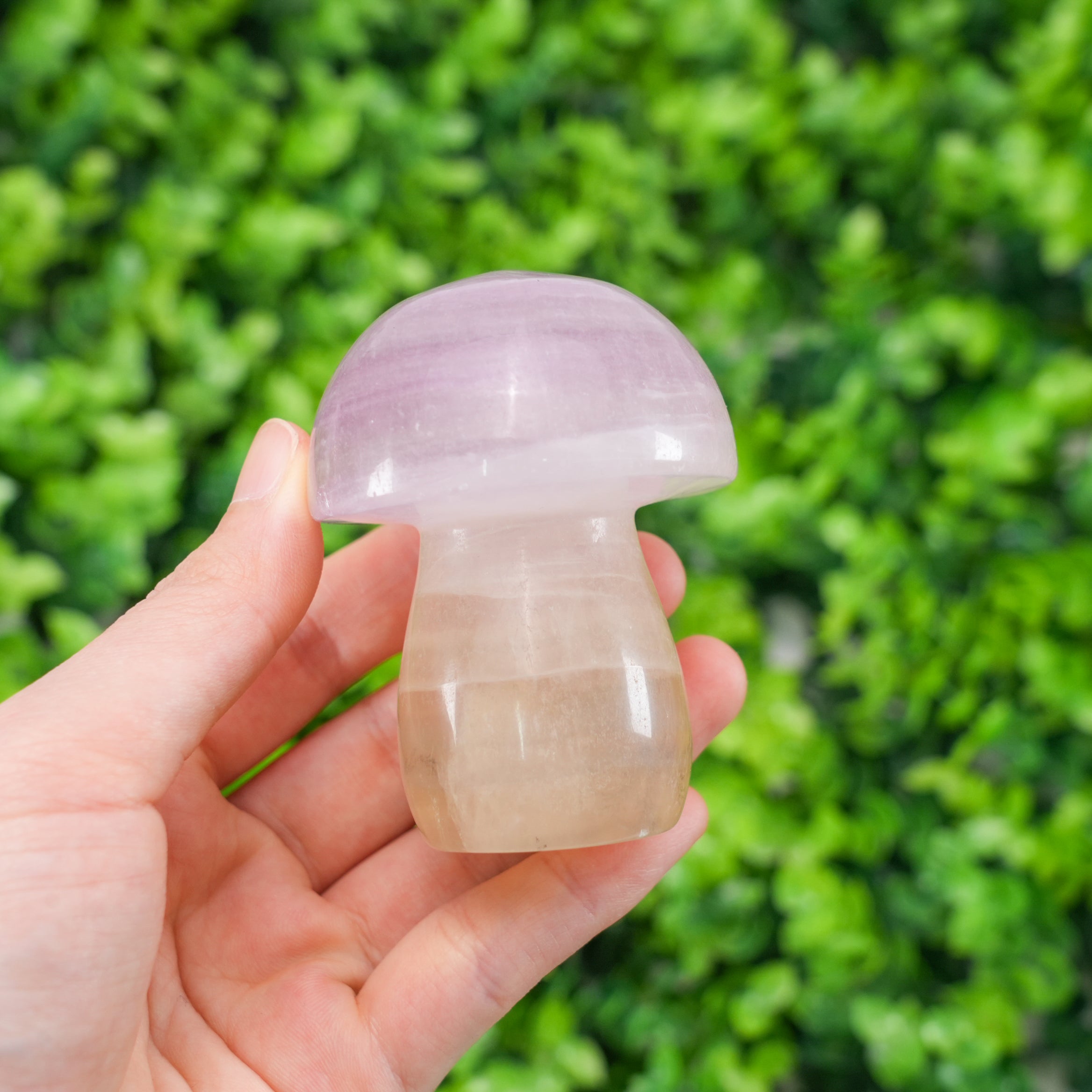 Natural Rainbow Fluorite Mushroom - Hand-Carved Colorful Crystal Mushroom Figurine