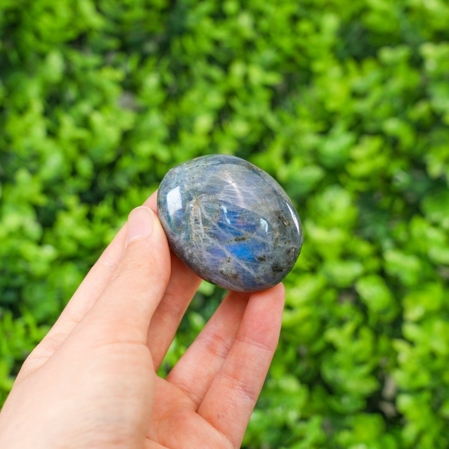 Labradorite Palm Stone | Natural Flashy Labradorite Crystal