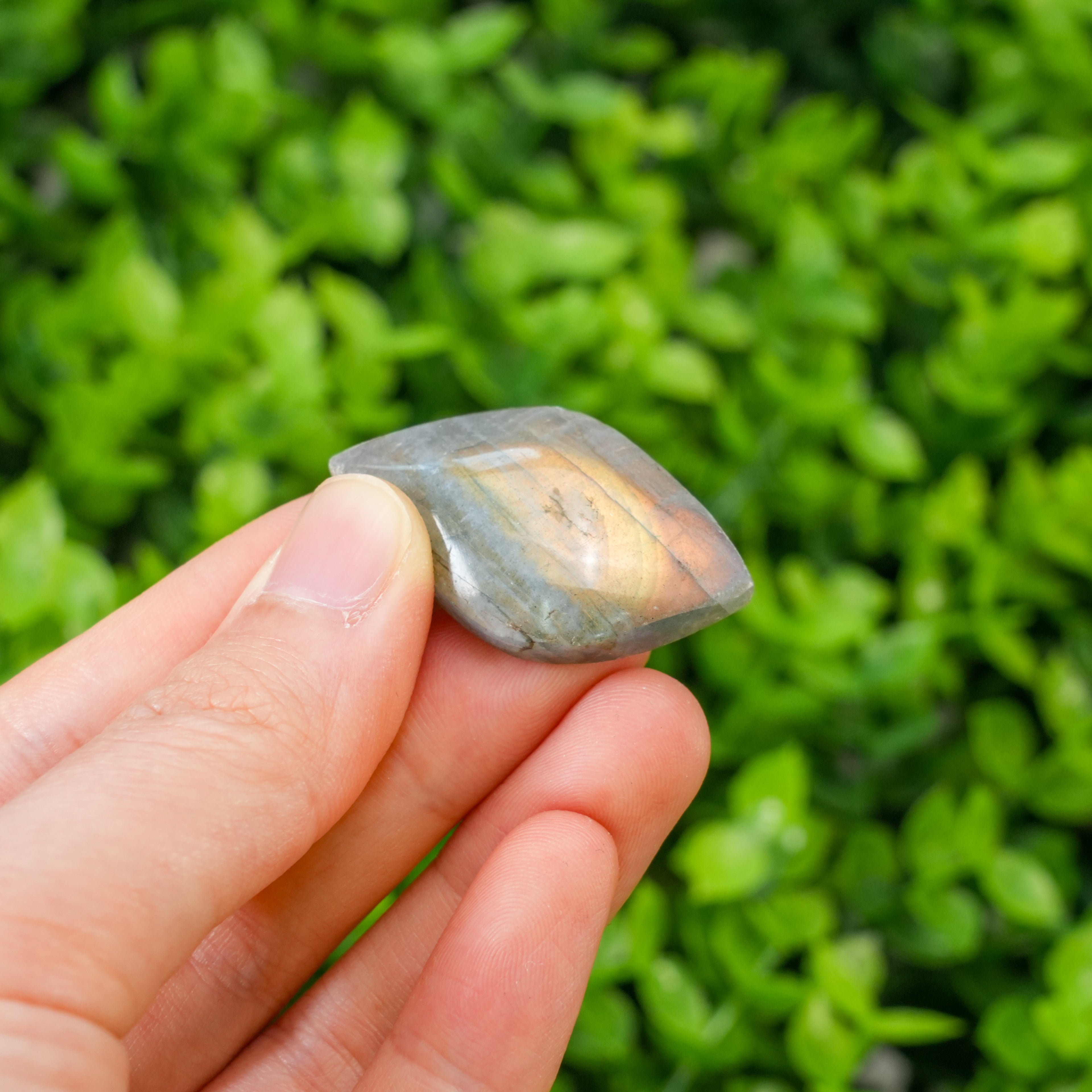 Natural Labradorite Crystal Leaf Carving - Hand-Carved Gemstone Foliage with Blue & Purple Unique Spiritual Gift for Crystal Collectors Flash