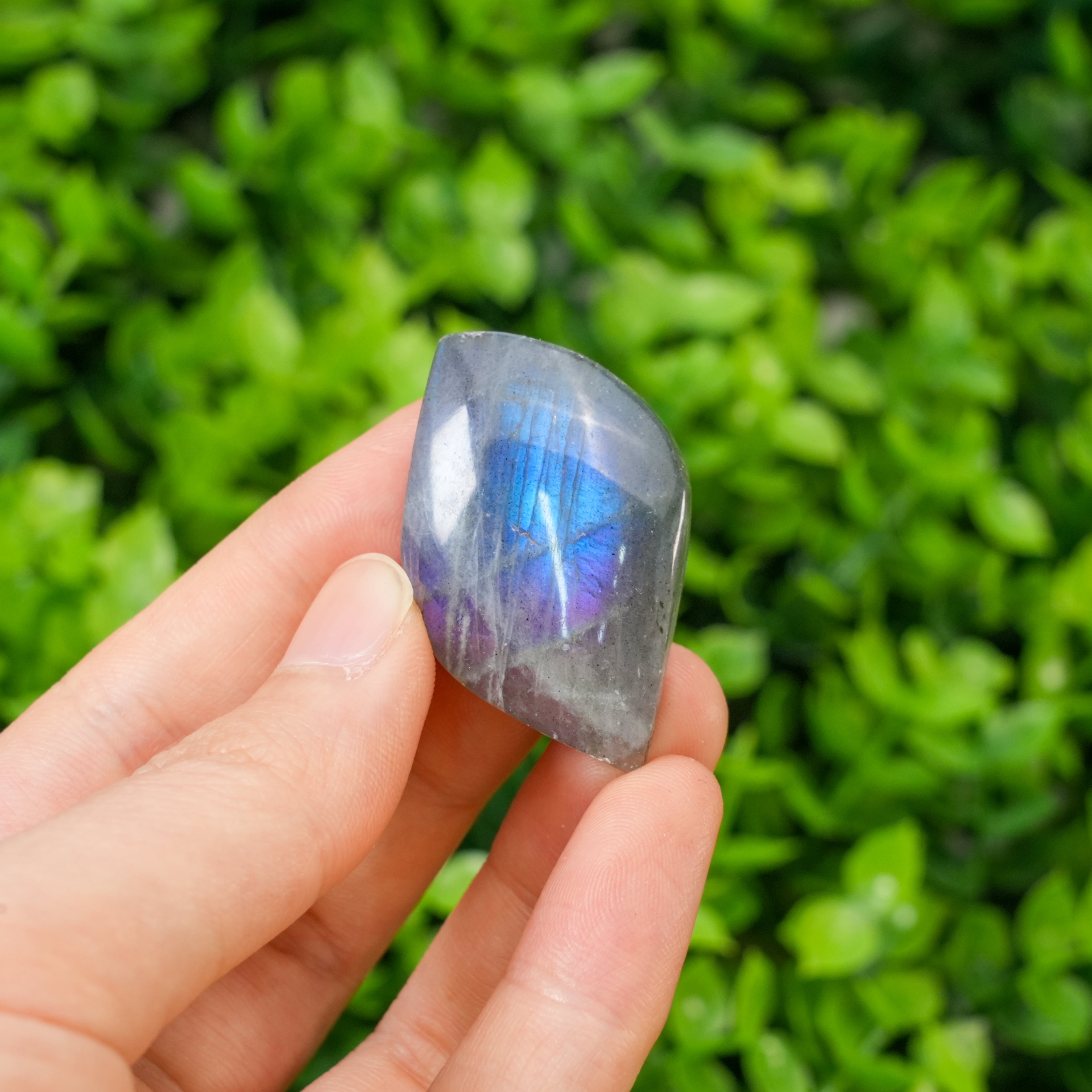 Natural Labradorite Crystal Leaf Carving - Hand-Carved Gemstone Foliage with Blue & Purple Unique Spiritual Gift for Crystal Collectors Flash