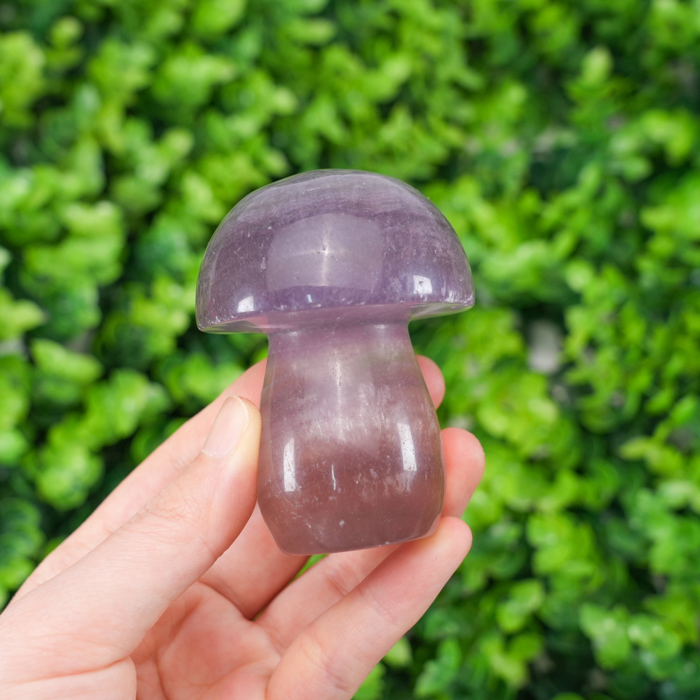Natural Rainbow Fluorite Mushroom - Hand-Carved Colorful Crystal Mushroom Figurine