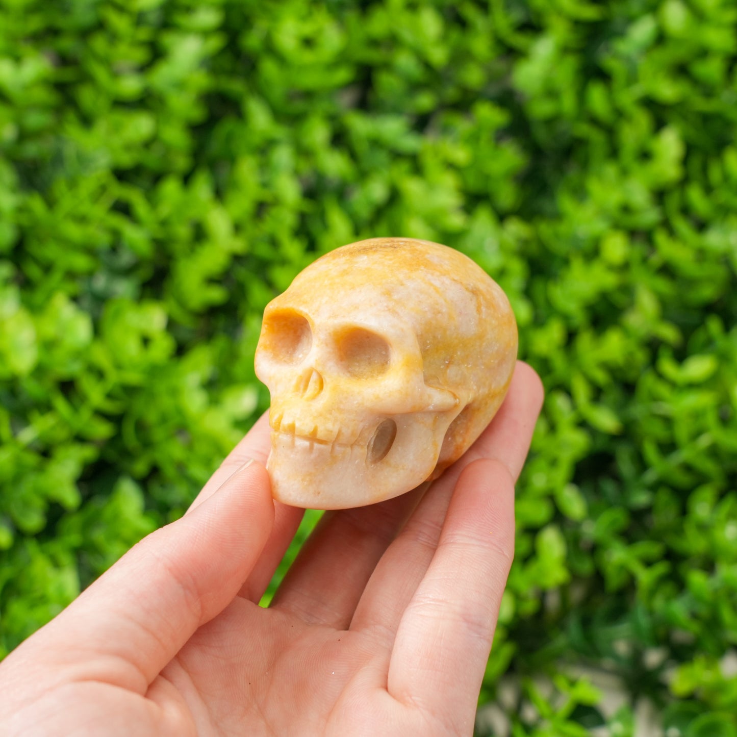 Natural Hand Carved Crystal Skull Collection Polished Realistic Skull Figurine for Reiki Healing, Gothic Decor, & Crystal Grids