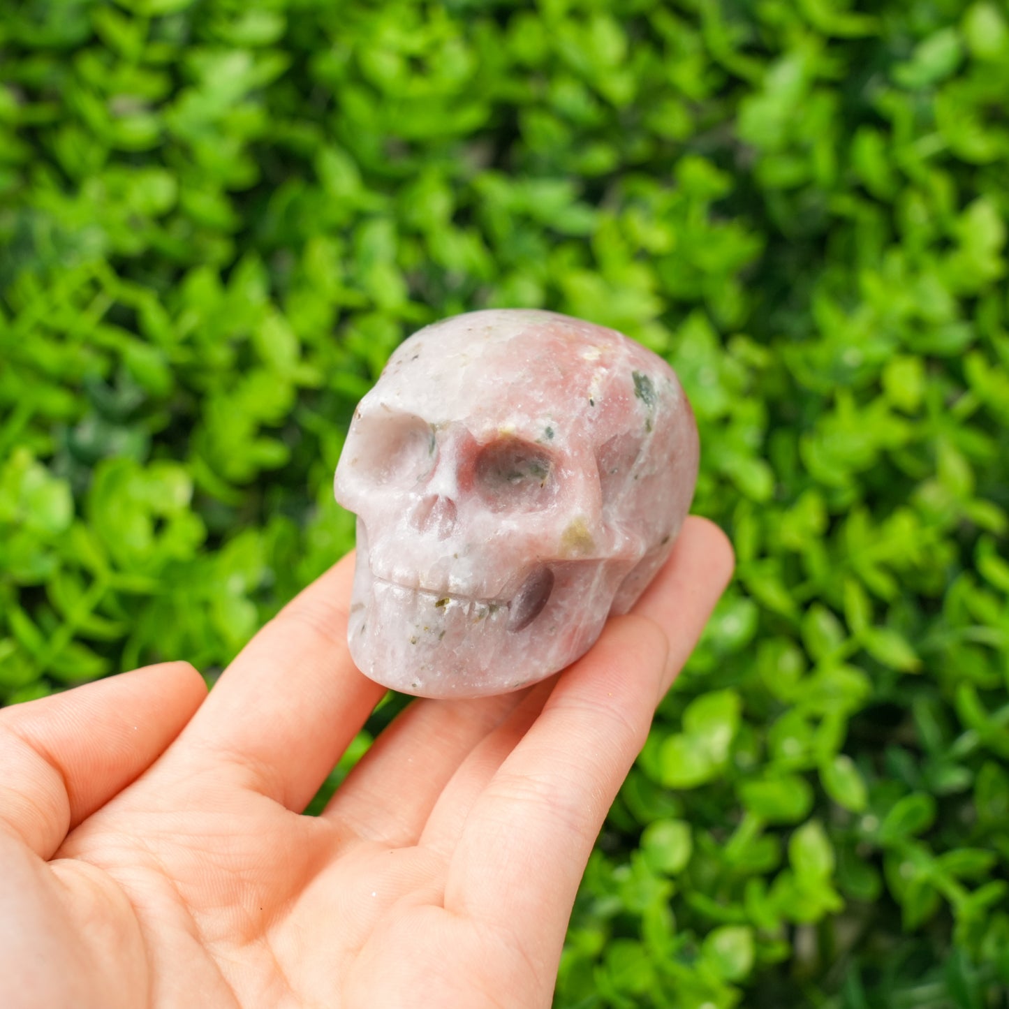 Natural Hand Carved Crystal Skull Collection Polished Realistic Skull Figurine for Reiki Healing, Gothic Decor, & Crystal Grids