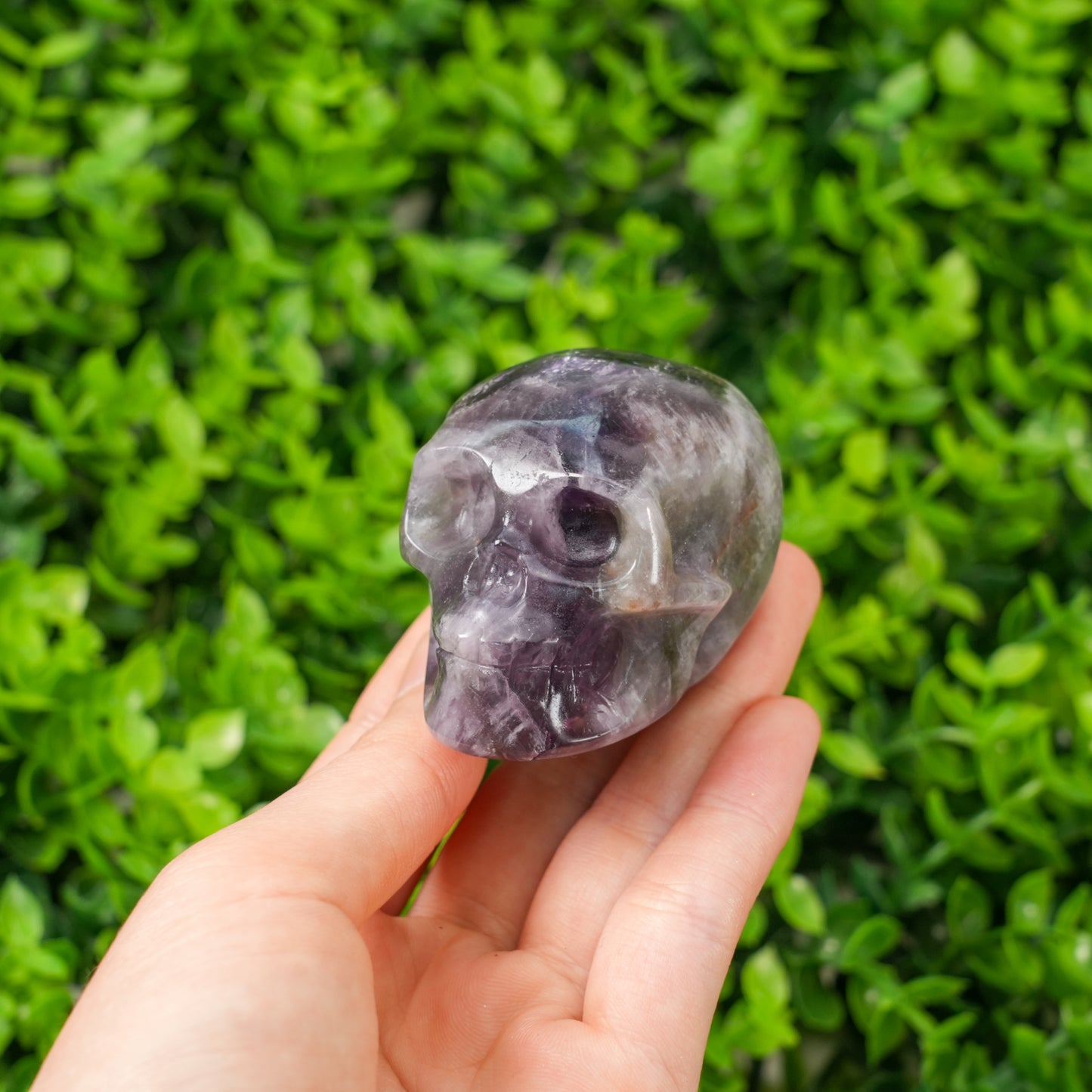 Natural Hand Carved Crystal Skull Collection Polished Realistic Skull Figurine for Reiki Healing, Gothic Decor, & Crystal Grids