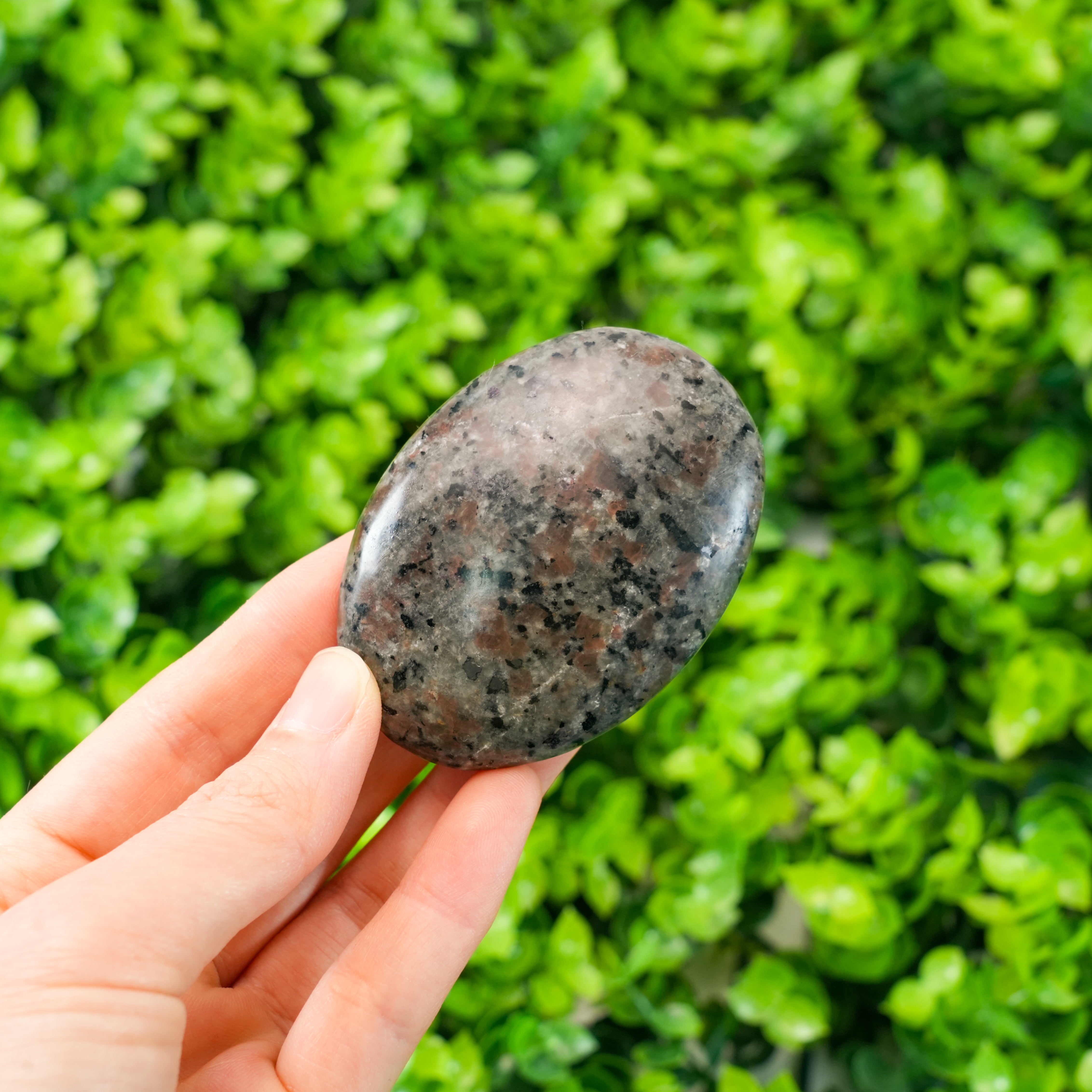 Yooperlite Palm Stone Natural Fluorescent Sodalite Crystal, Polished Glow Under UV Light Healing Stone for Collection & Gift