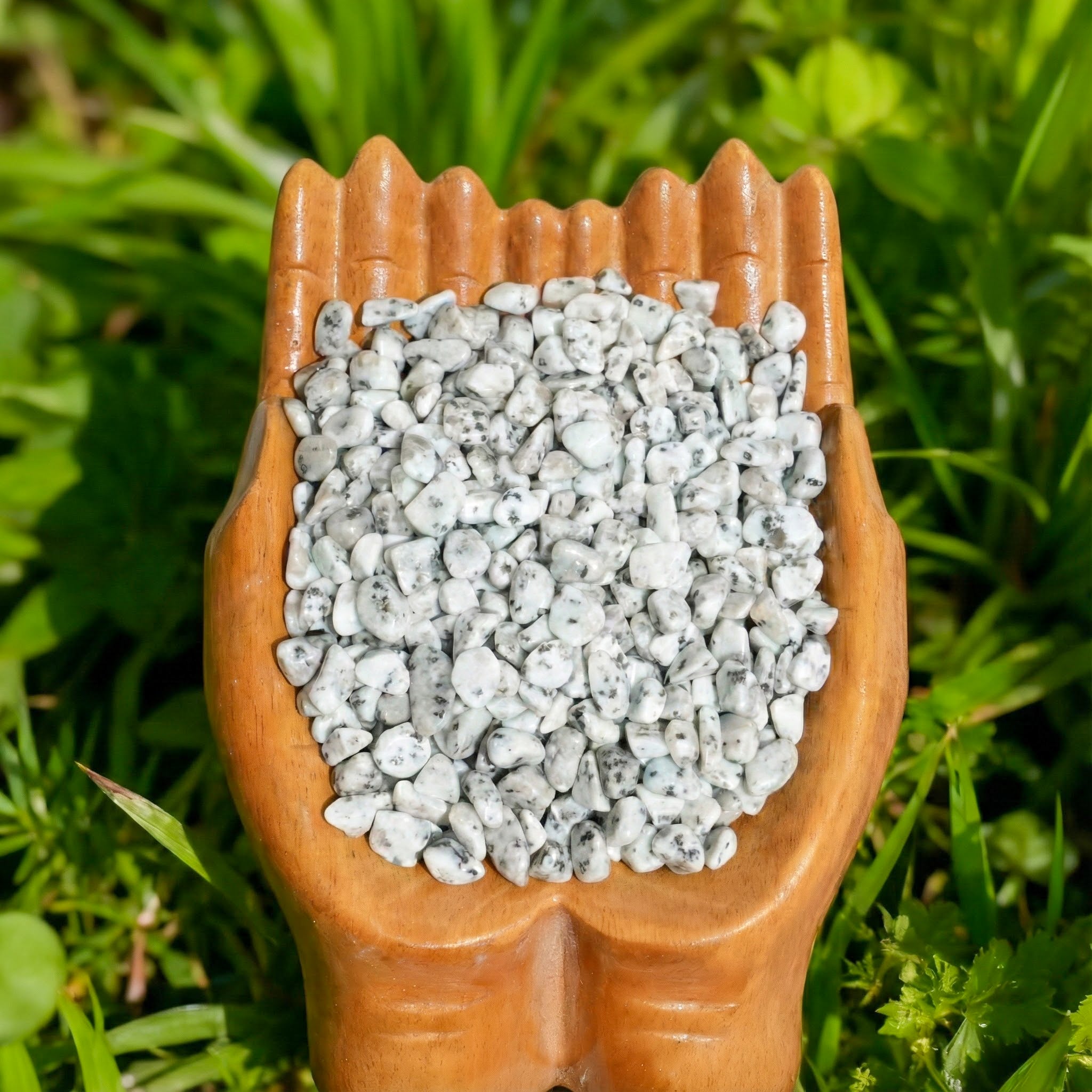 Kiwi Jasper Chips