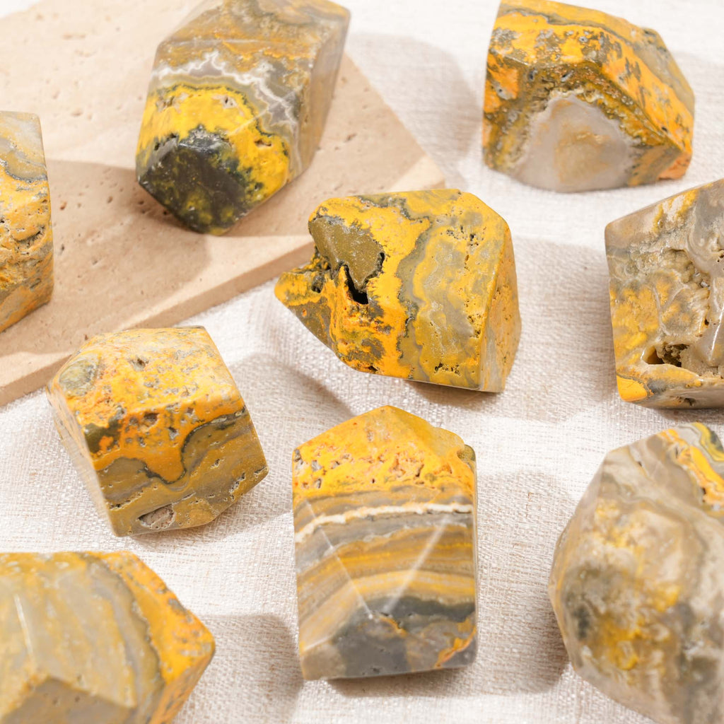 Bumblebee Jasper Freeform