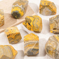 Bumblebee Jasper Freeform