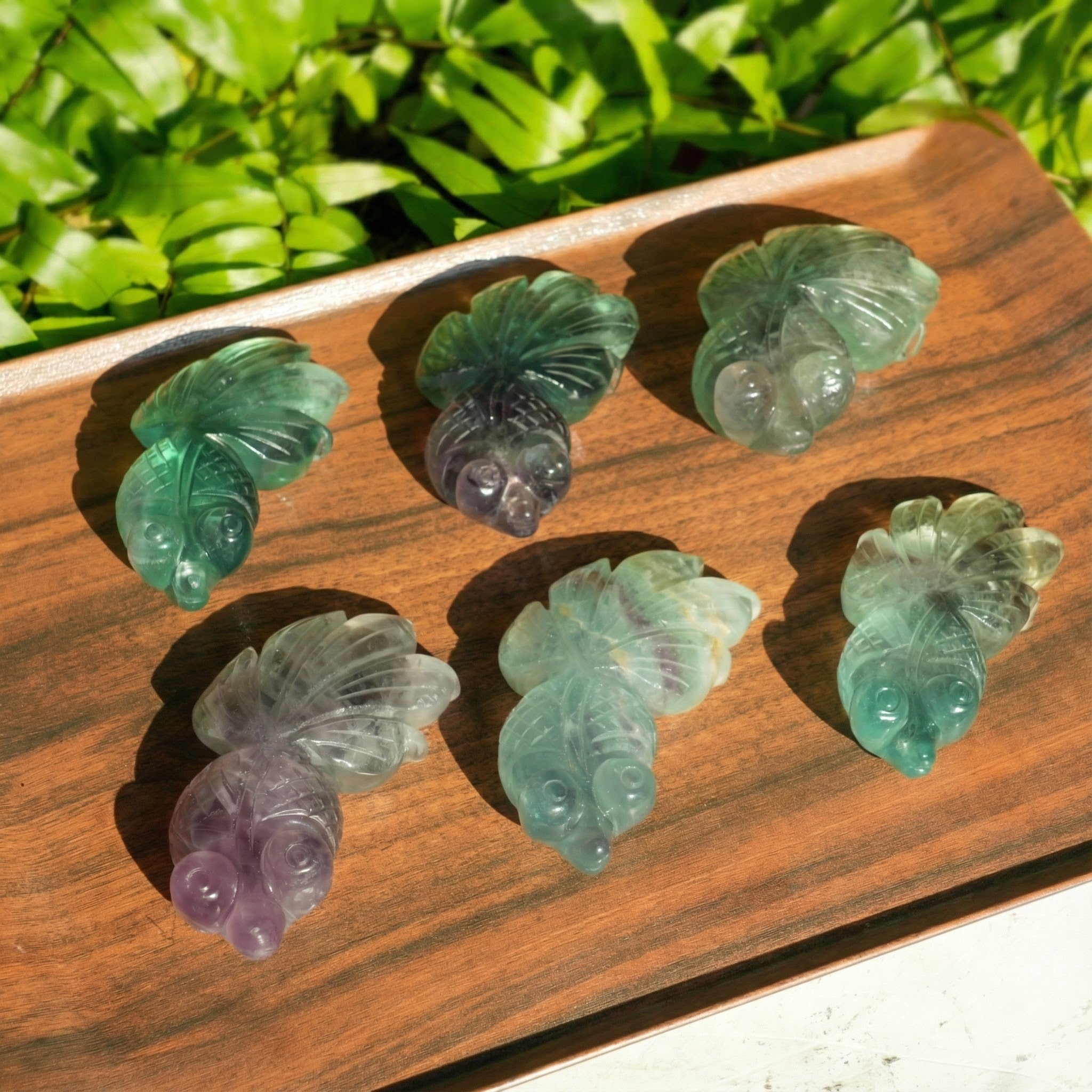 Fluorite Goldfish