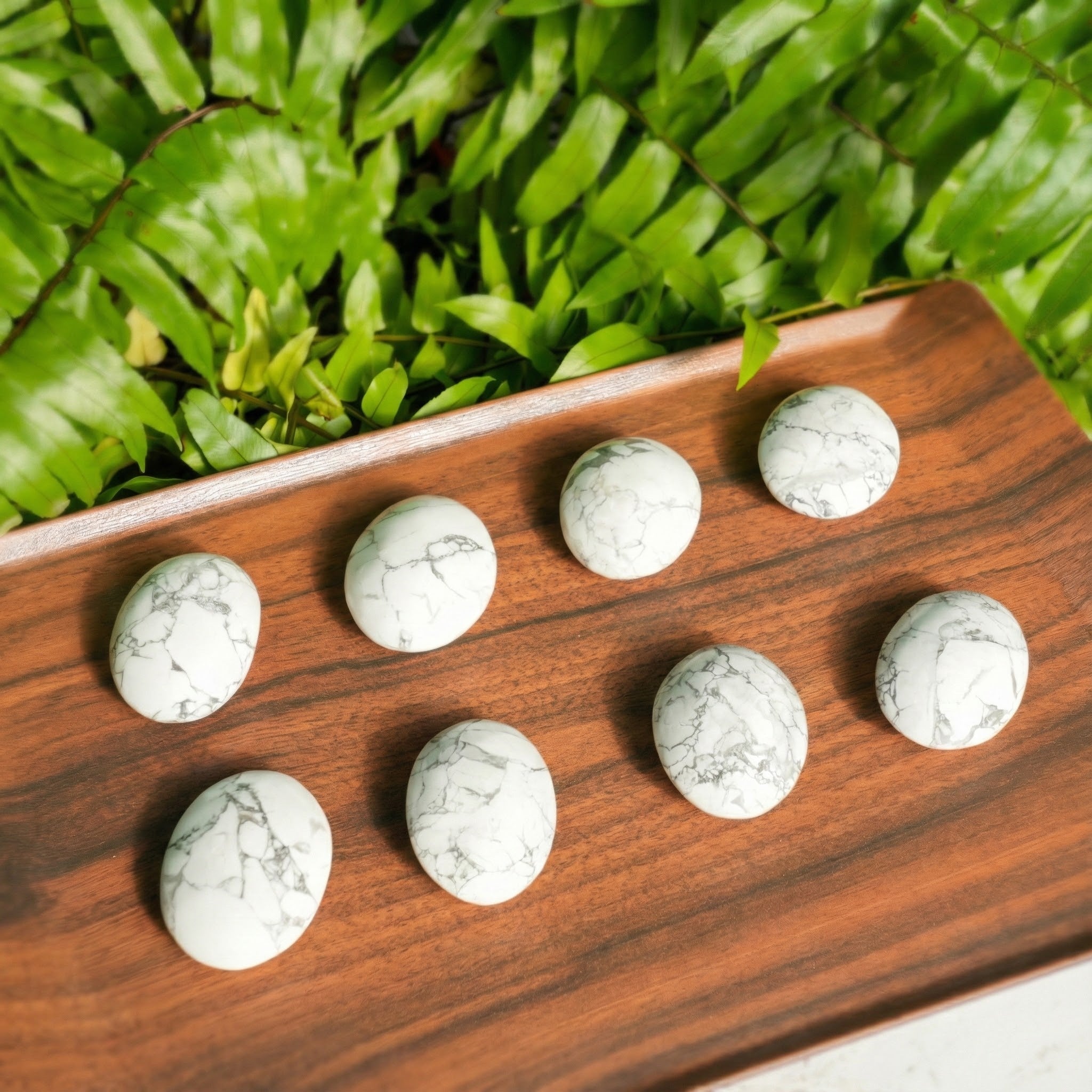 Howlite Palmstone