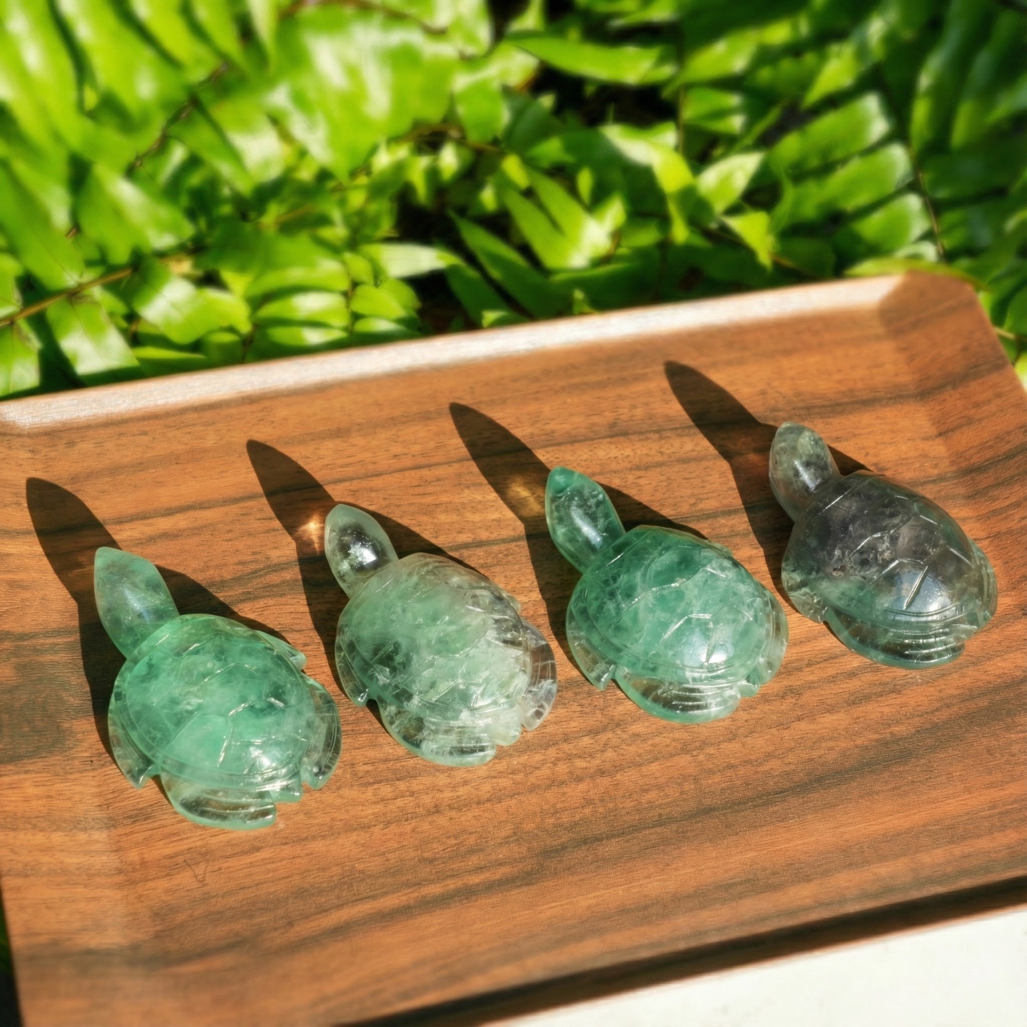 Green Fluorite Turtle