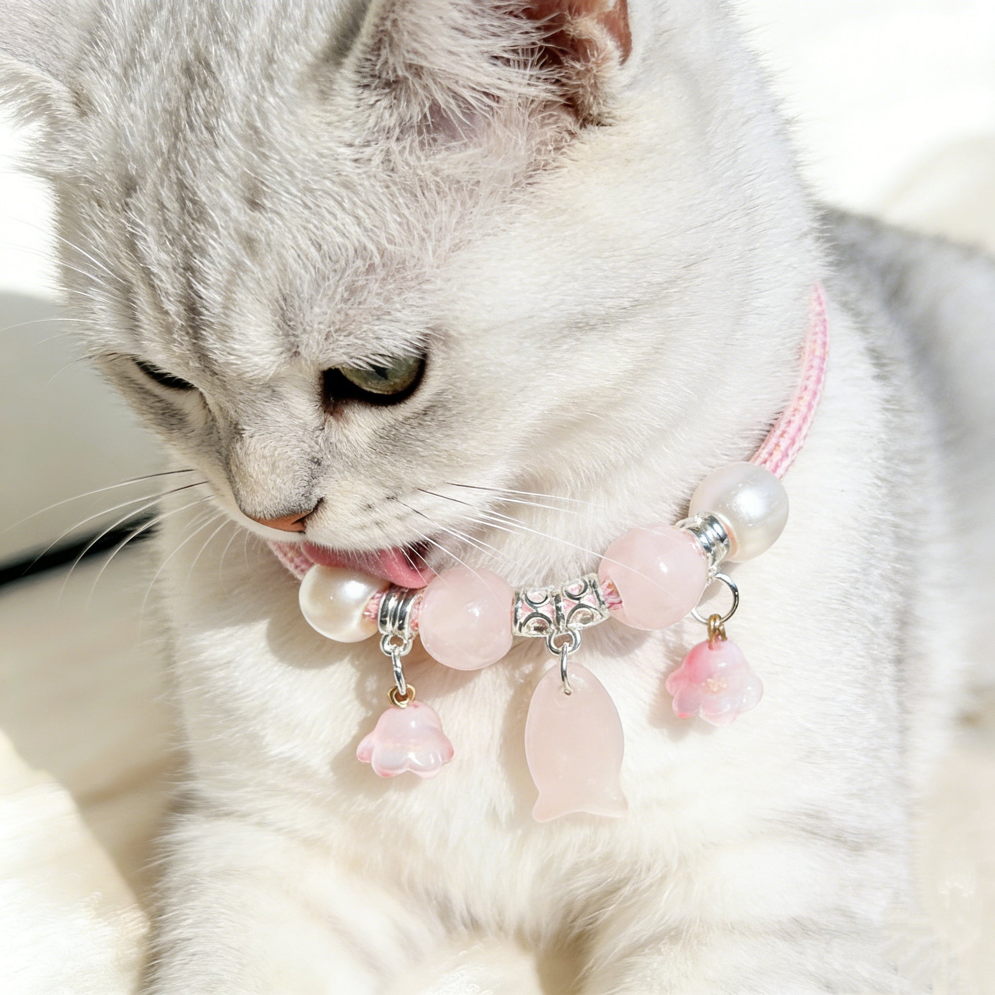 Rose Quartz Fish Pendant Pet Collar – Adjustable Necklace for Cats & Dogs