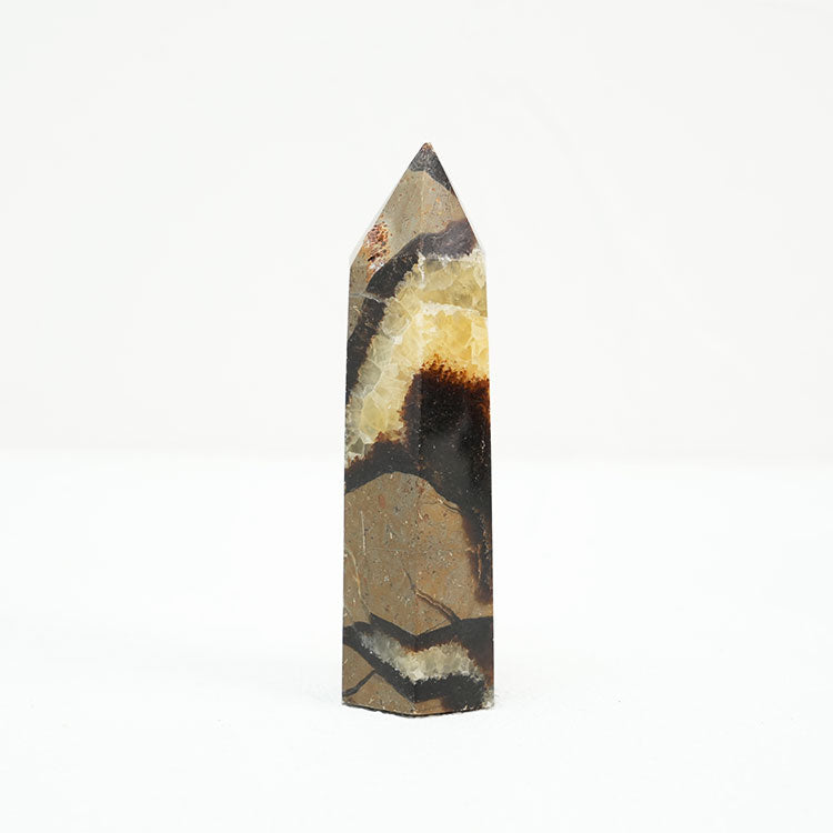 Septarian Point for Chakra Balancing and Grounding