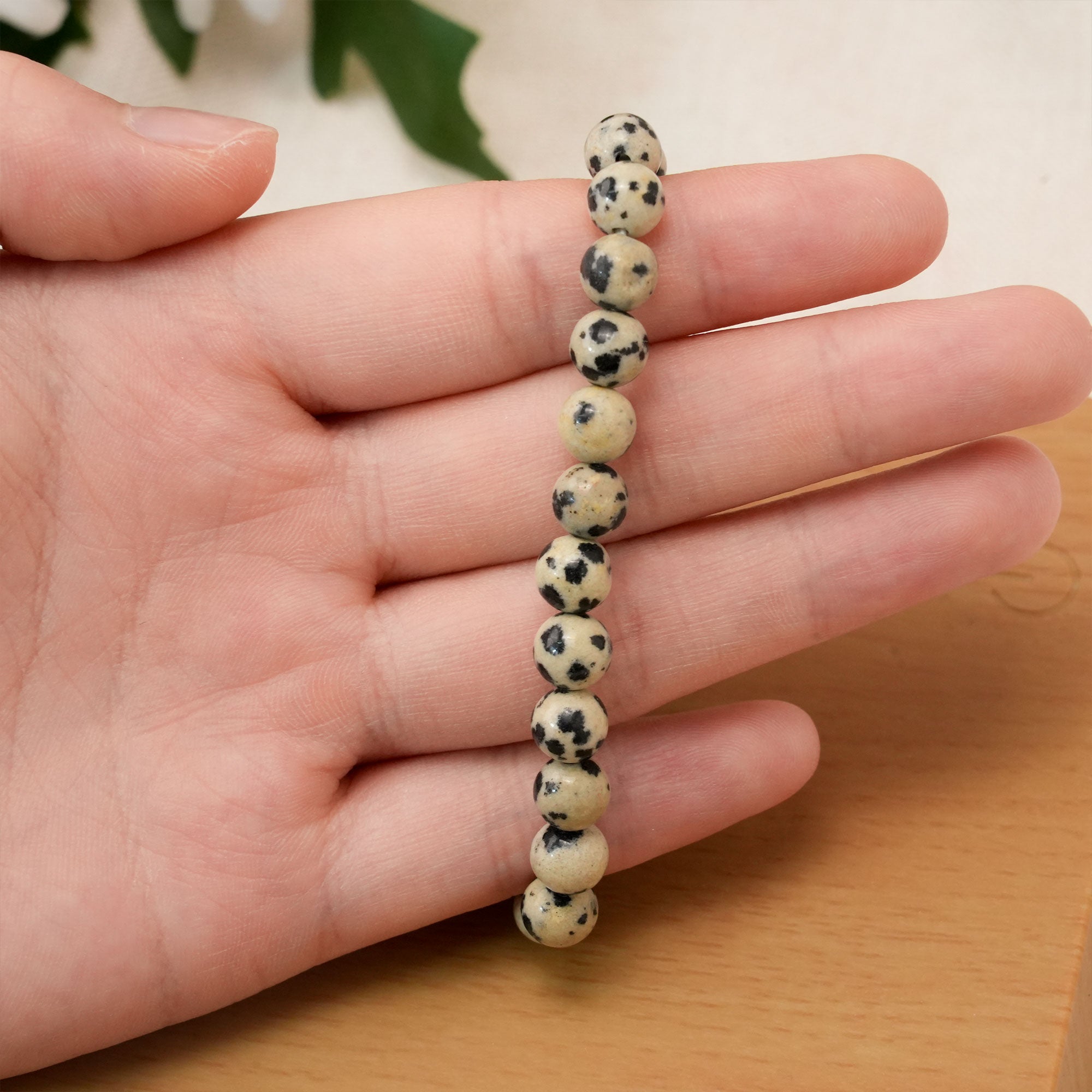 Elegant Dalmatian Jasper Bracelet with distinctive black spots on a creamy white background