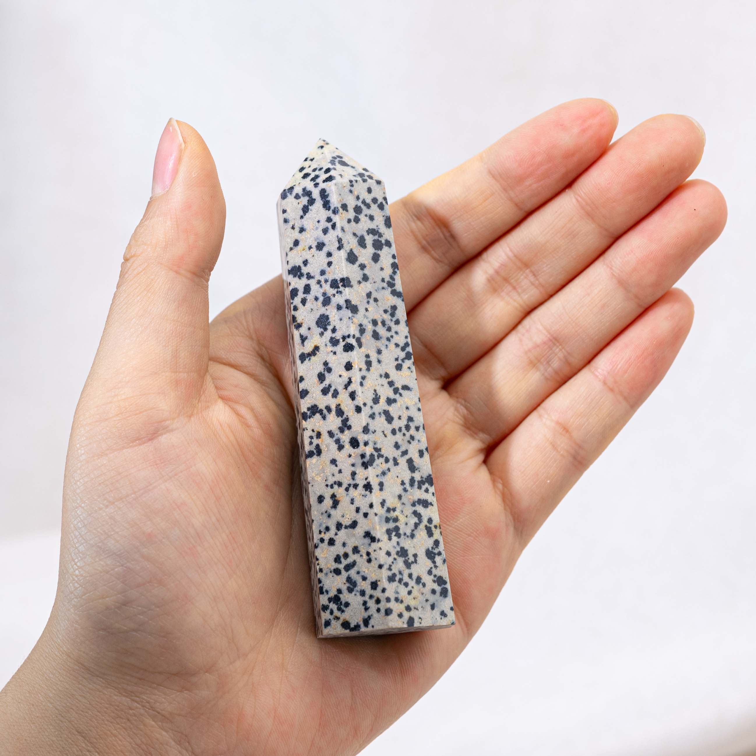 Dalmatian Jasper Point held in hand