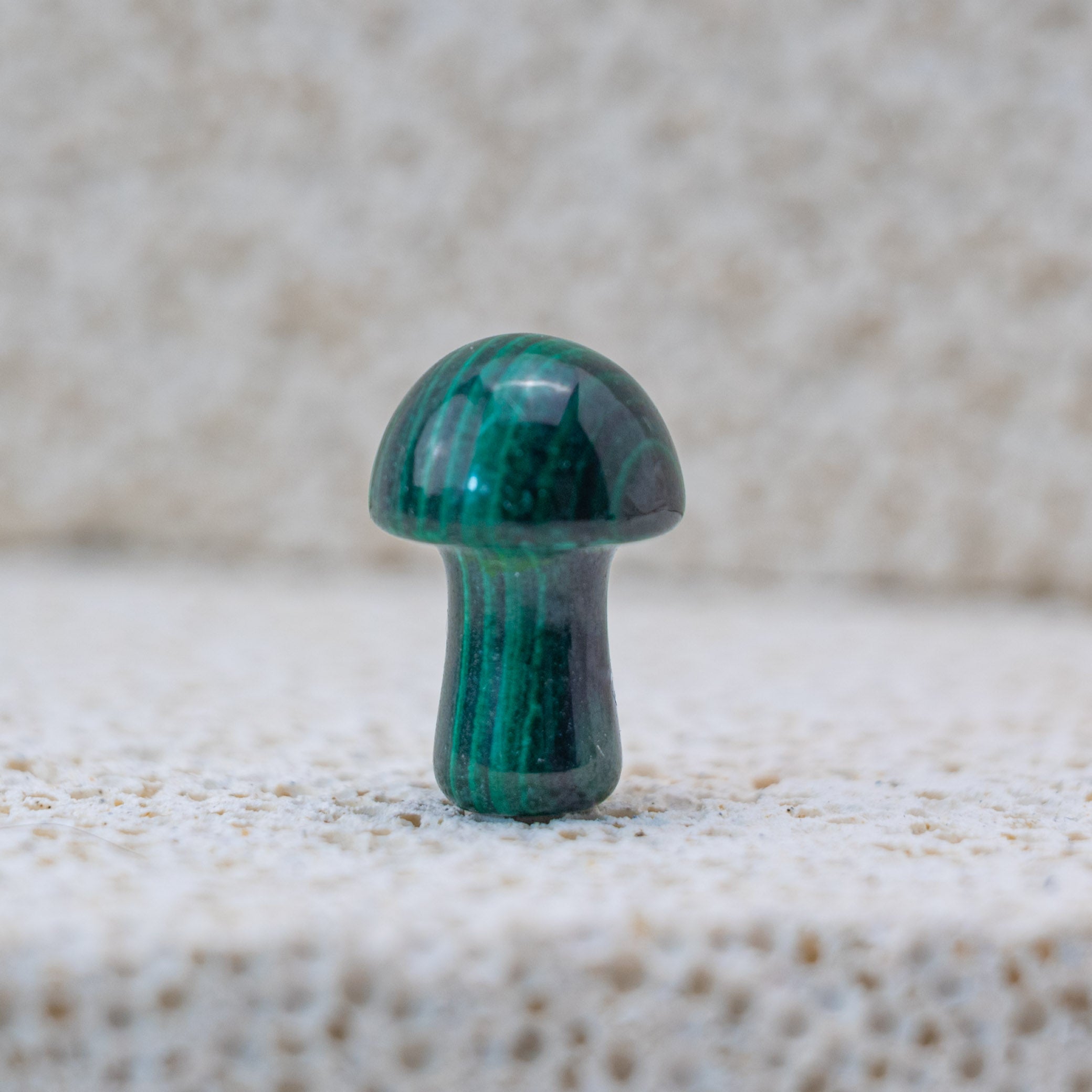 The Malachite Mushroom offers protective energies, making it an excellent talisman for personal growth.