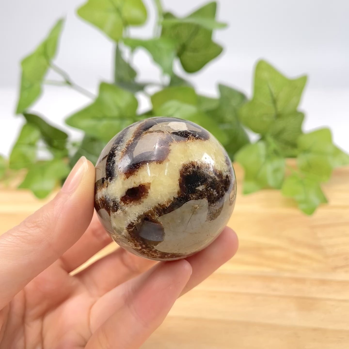 Natural Septarian Dragon Stone Sphere Polished Geode Ball, Hand-Carved Septarian Nodule Crystal for Grounding, Protection, and Spiritual Decor, Unique Gemstone Sphere with Stand