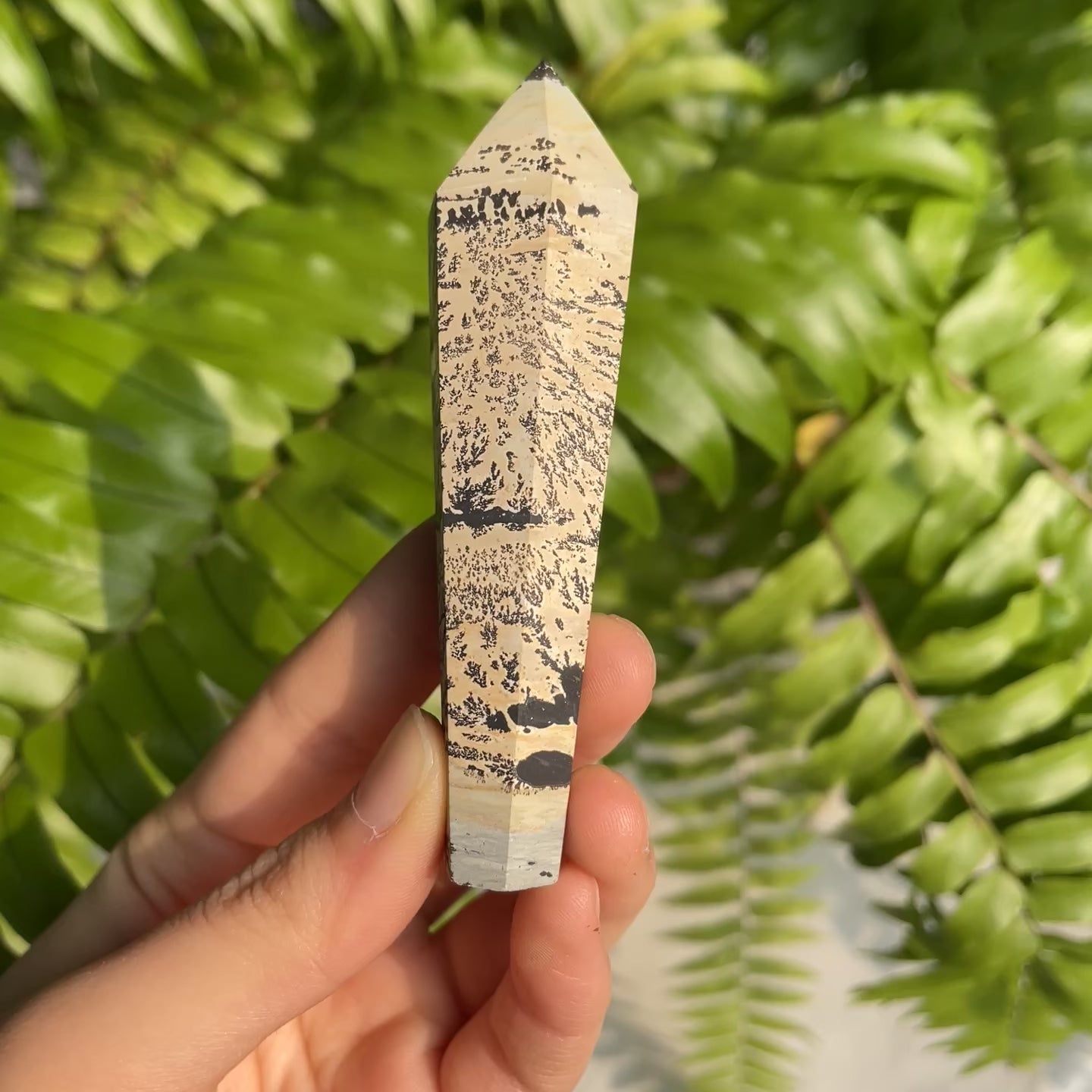 Picture Jasper Wand