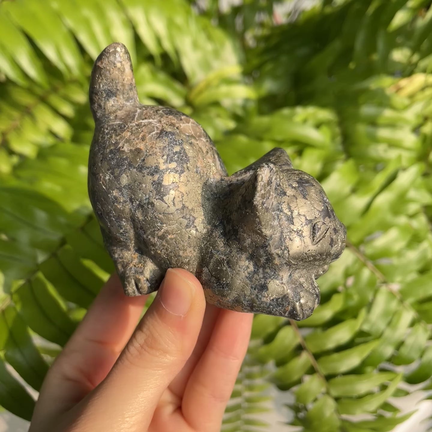 Pyrite Cat