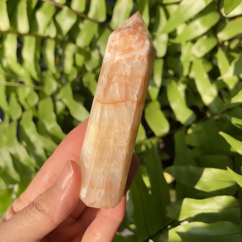 Pork Stone Point