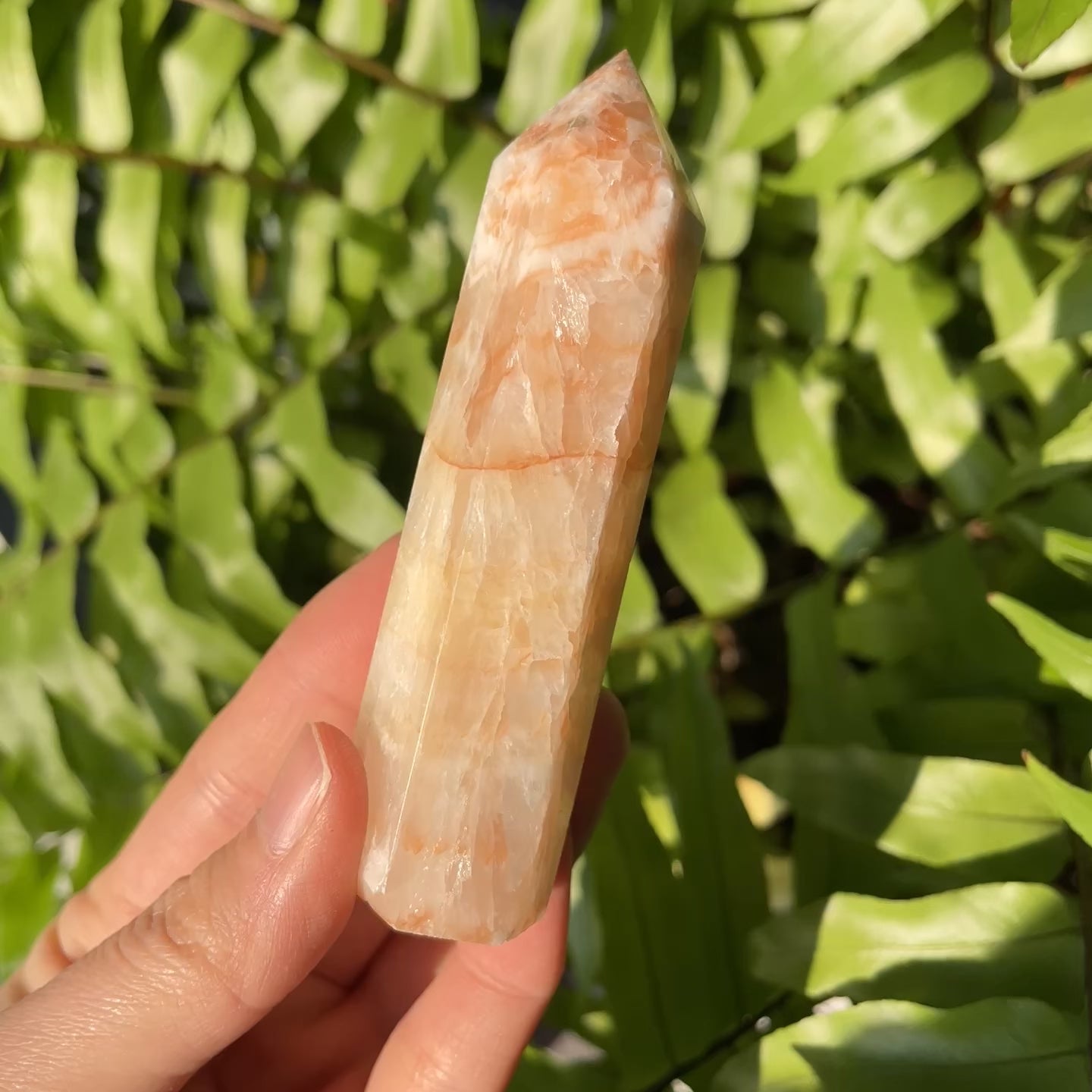 Pork Stone Point