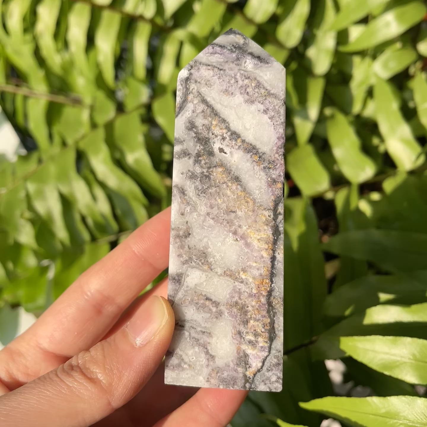 Purple Zebra Fluorite Tetrahedron