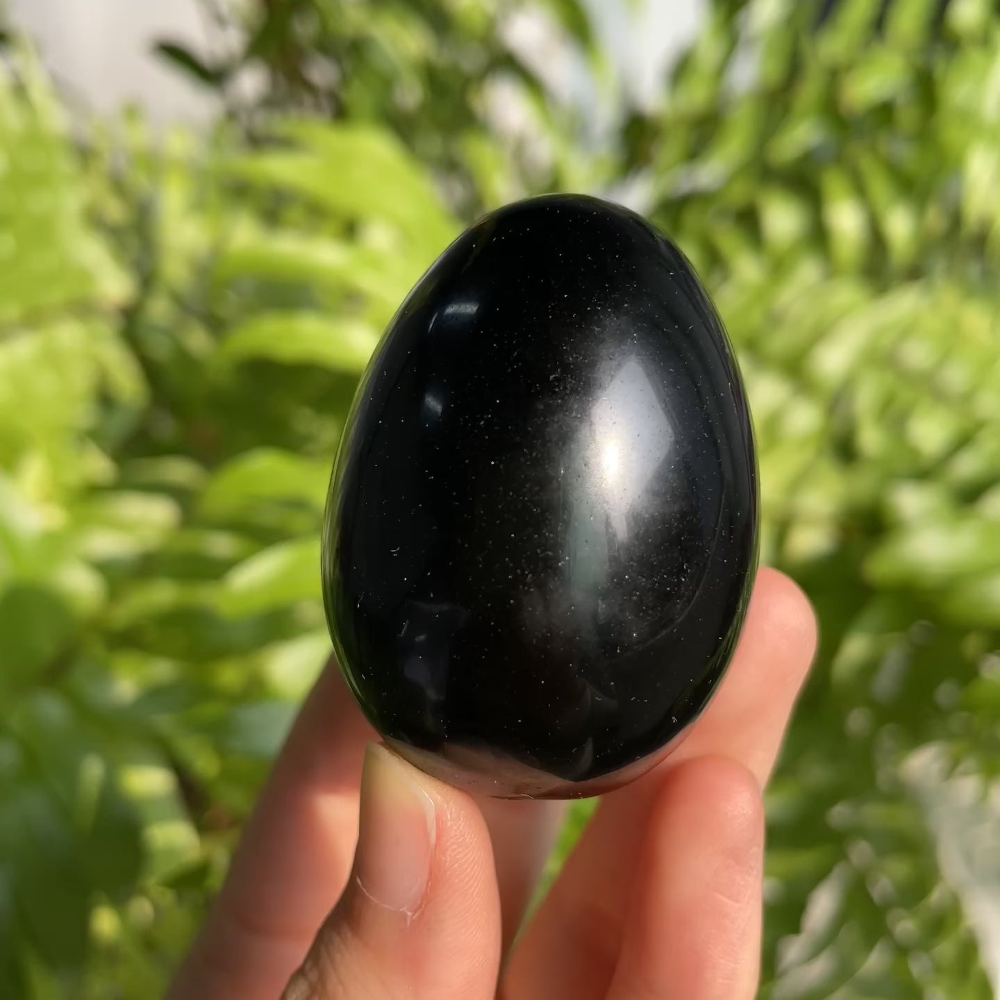 Black Obsidian Egg