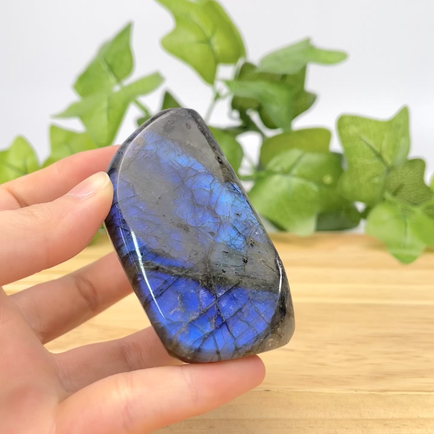 Natural Labradorite Freeform Large Polished Flashy Spectrolite Stone, High-Flash Healing Crystal for Intuition & Magic, Unique Gemstone Decor for Office, Meditation & Reik