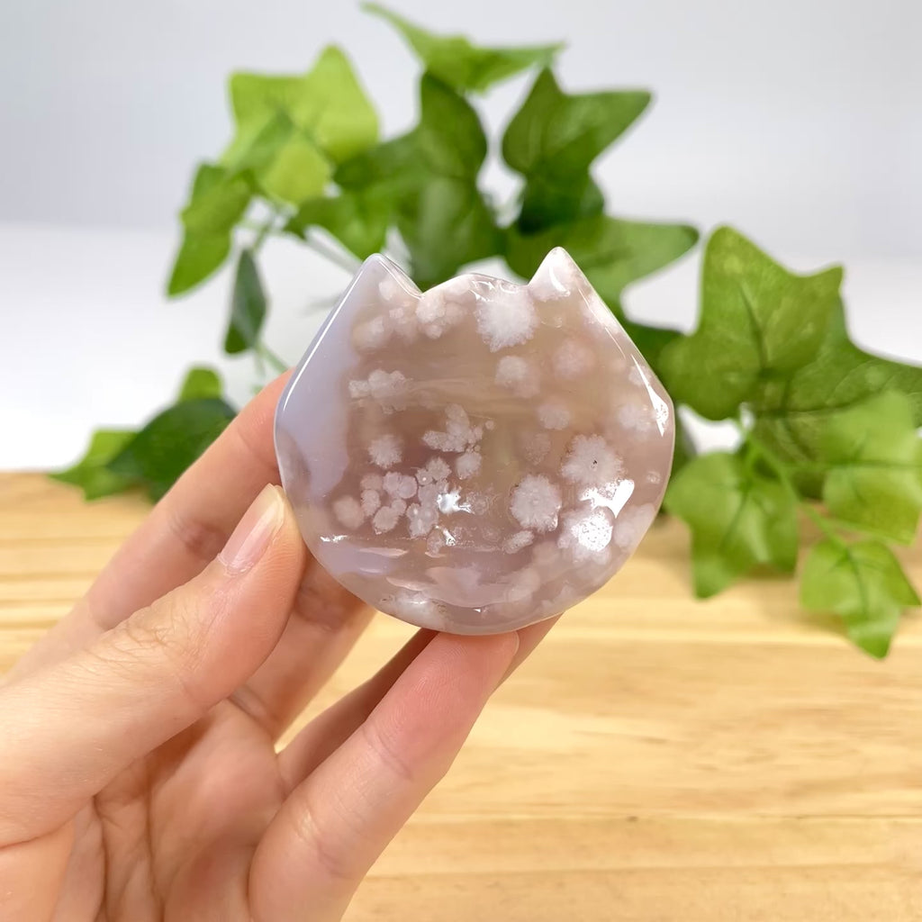 Flower Agate Cat Head Carving | Natural Cherry Blossom Agate Crystal